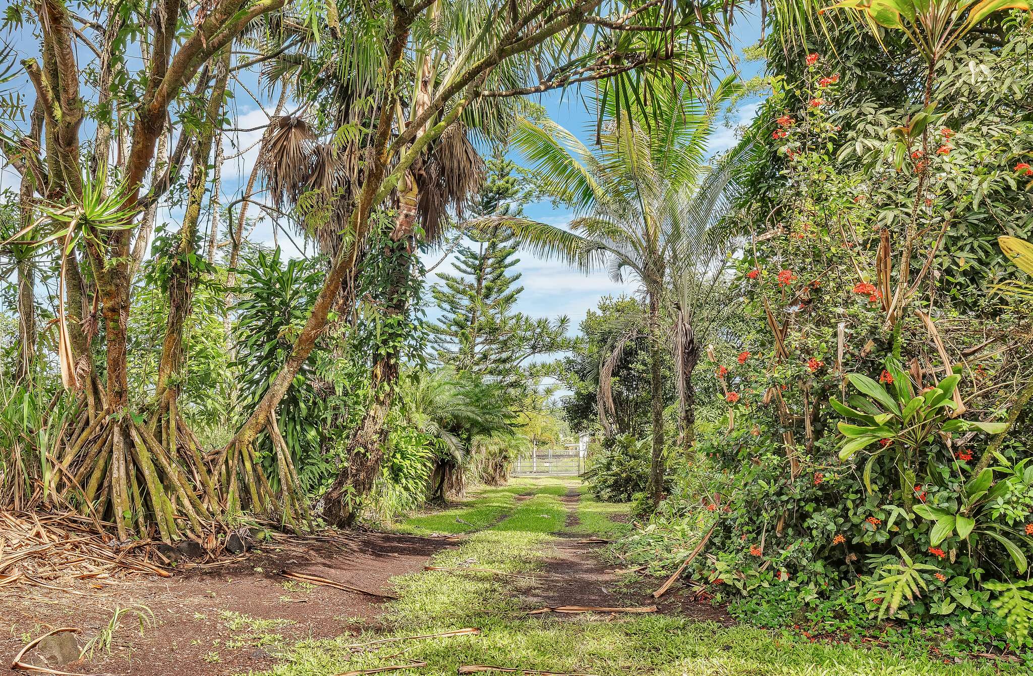 Keaau, HI 96749,15-1746 11TH AVE