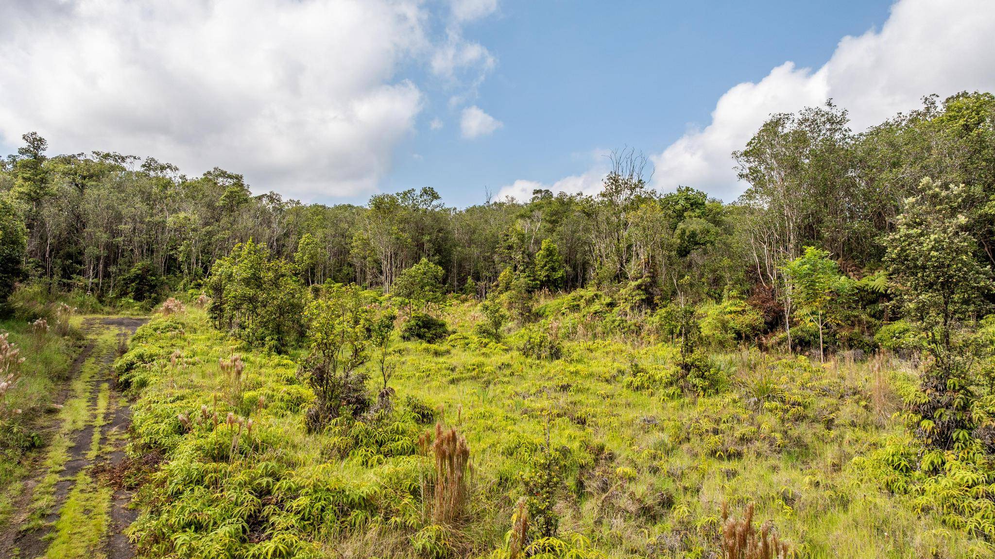 Mountain View, HI 96771,18-1854 KUAHIWI RD