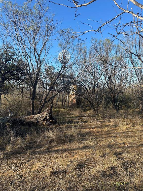 Bangs, TX 76823,CR 139 Thomas 75 Acre Tract