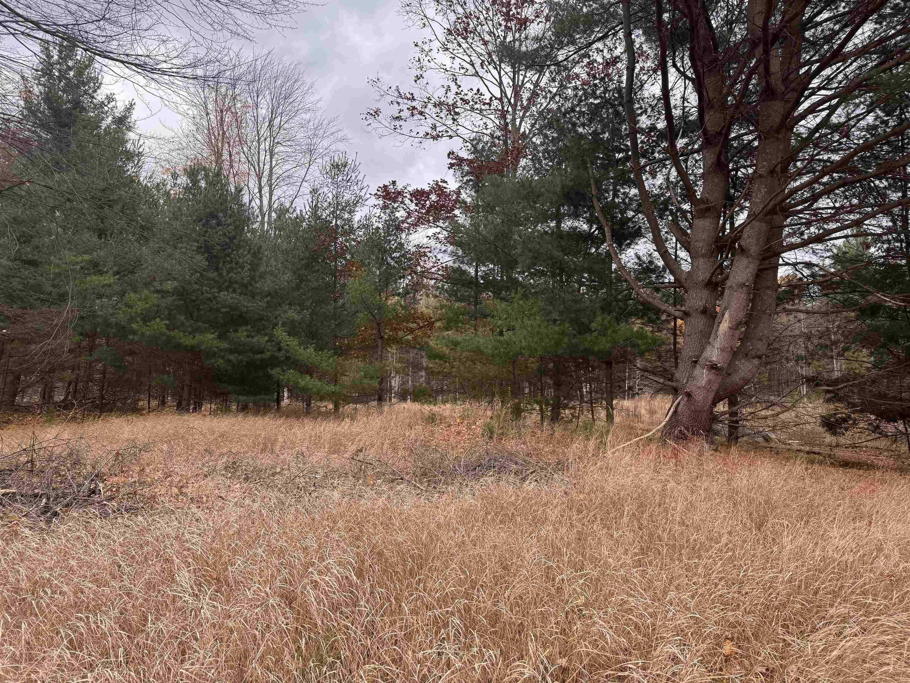 East Tawas, MI 48730,V/L Newman ST