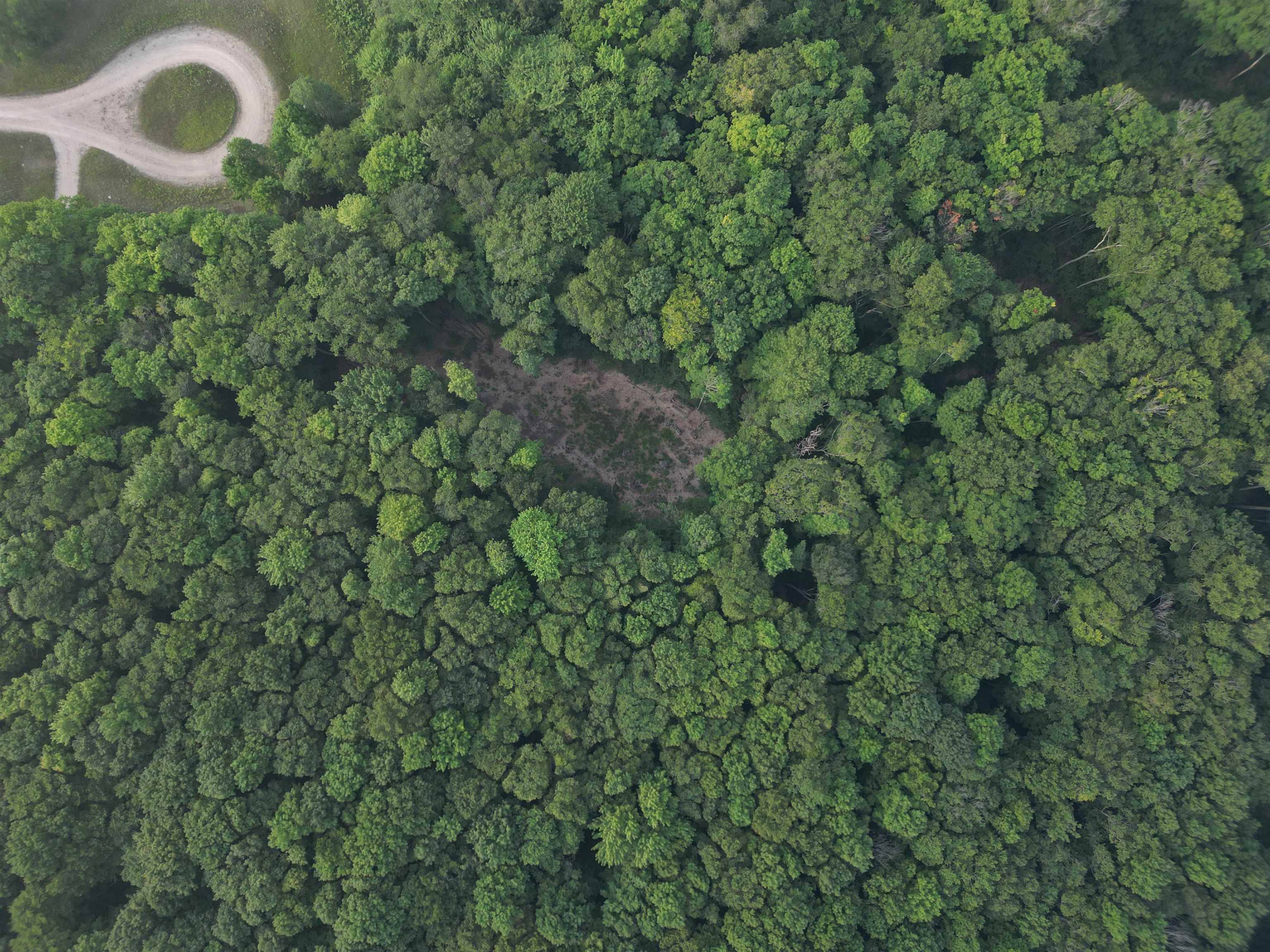 Empire, MI 49630,00000 S Bridle TRL