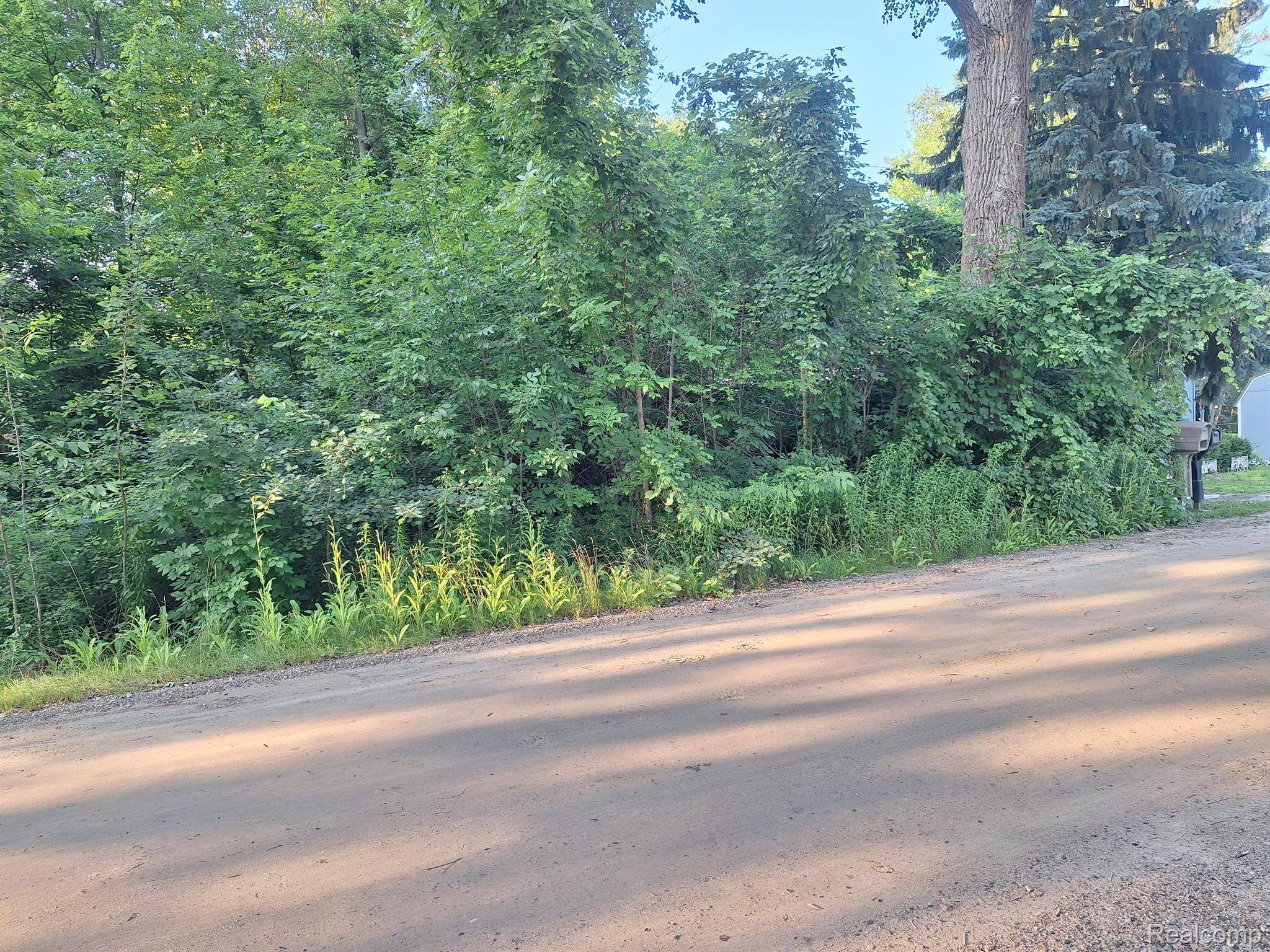 Lexington, MI 48450,000 Birchwood RD