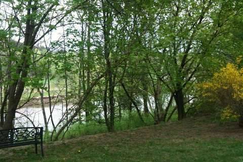 Mississauga, ON L5M 1R6,45 River RD #- Bsmt