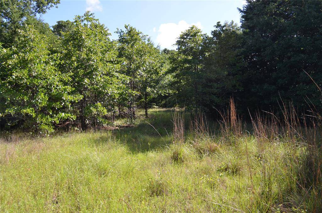 Eustace, TX 75124,760 VZ County Road #2315