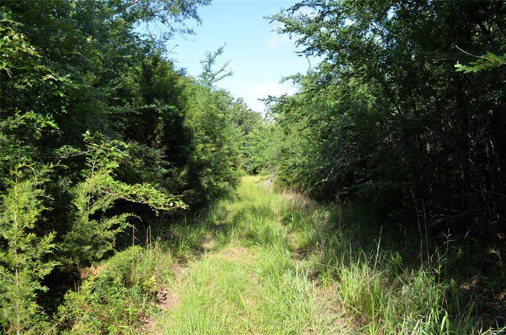 Eustace, TX 75124,760 VZ County Road #2315