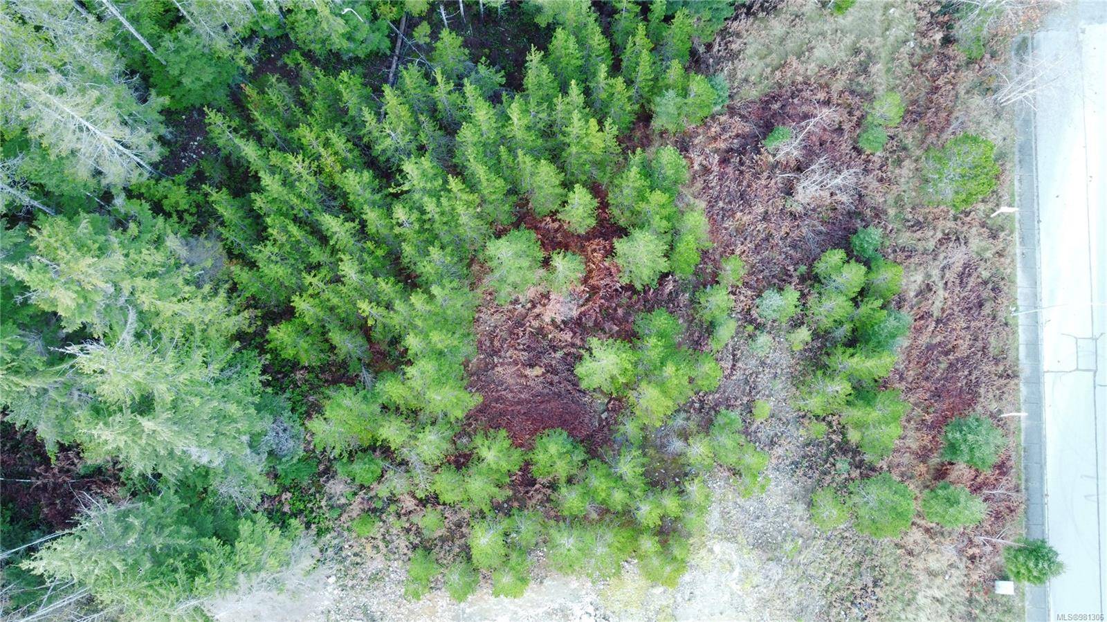 Gold River, BC V0P 1G0,604 SCOUT LAKE Rd