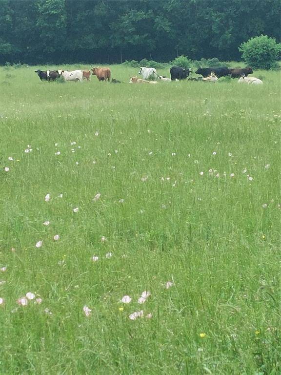 Commerce, TX 75428,66.682 Acres County Road 2190