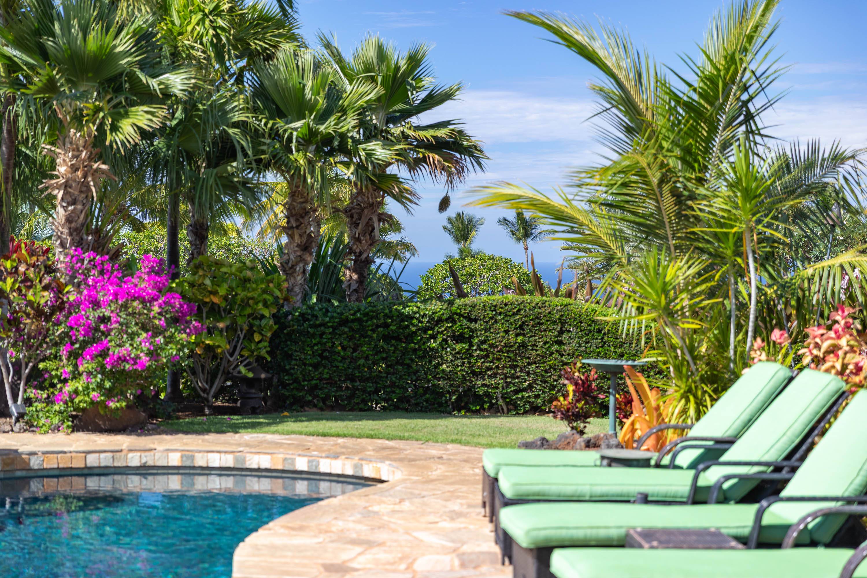 Kamuela, HI 96743,62-3996 MOANI PIKAKE CT