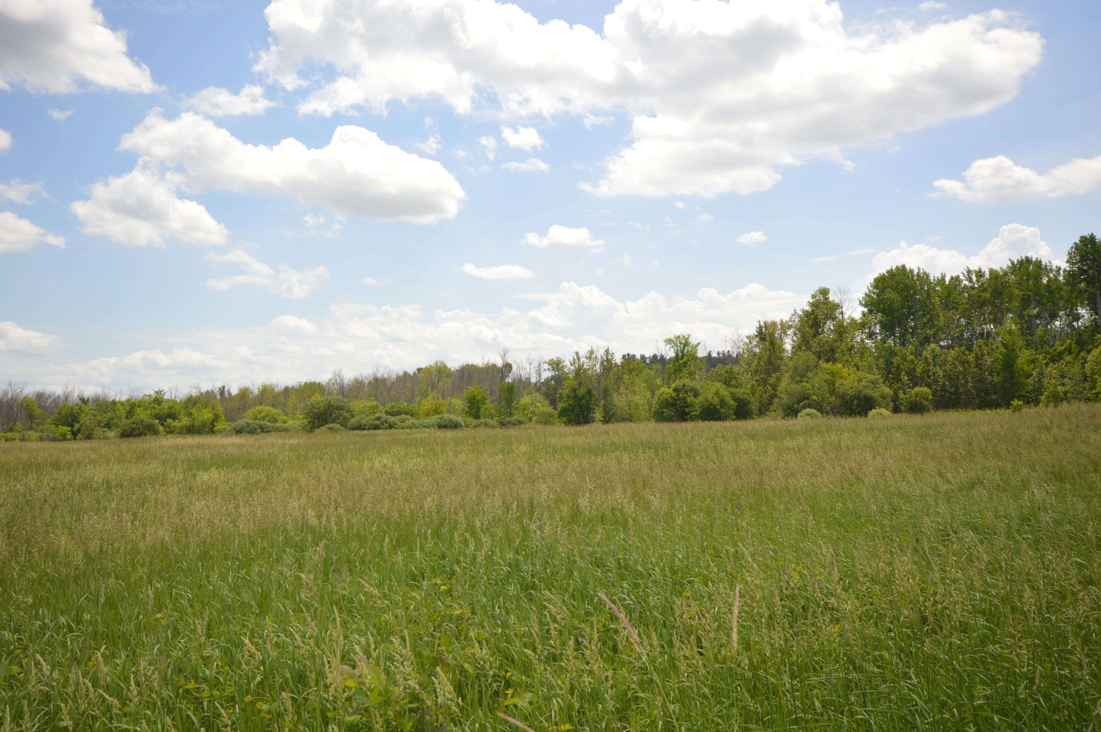 00 Storie RD, Mcnab/braeside, ON K7V 3Z8