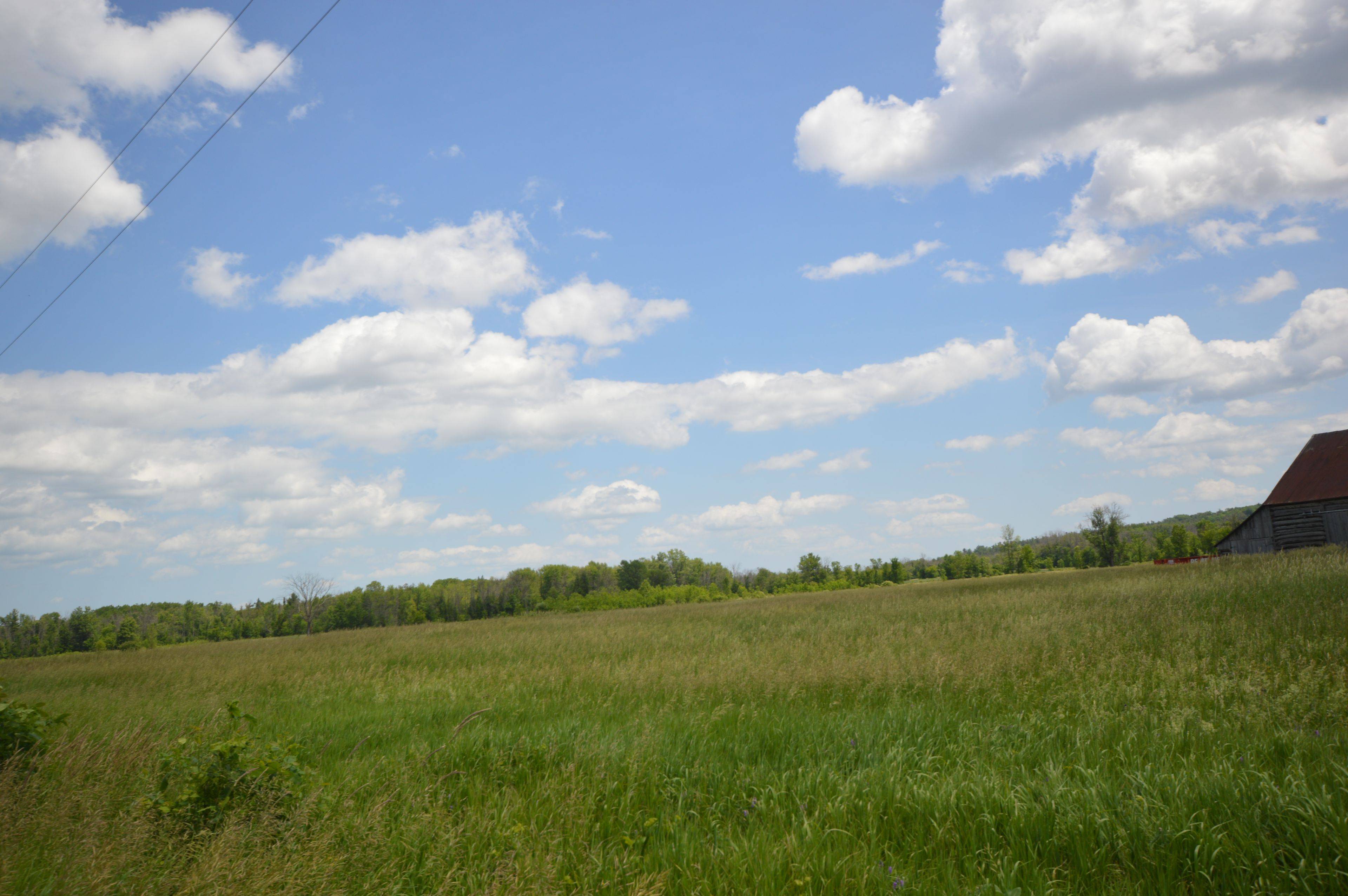 00 Storie RD, Mcnab/braeside, ON K7V 3Z8