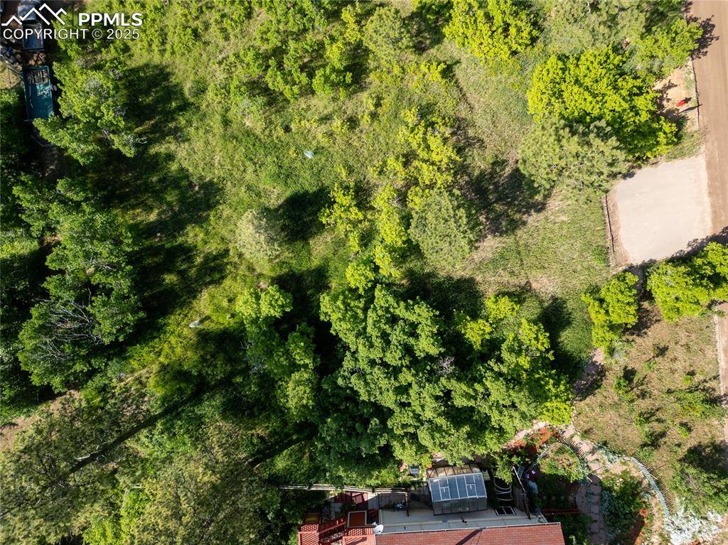 Palmer Lake, CO 80133,Buena Vista AVE