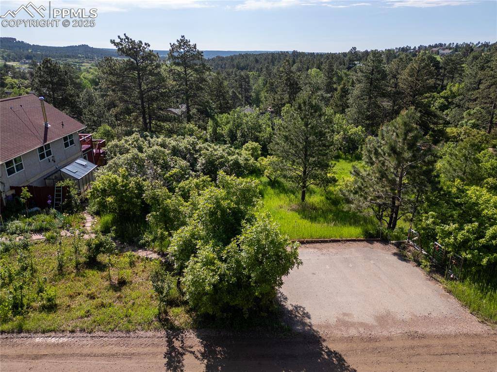 Palmer Lake, CO 80133,Buena Vista AVE