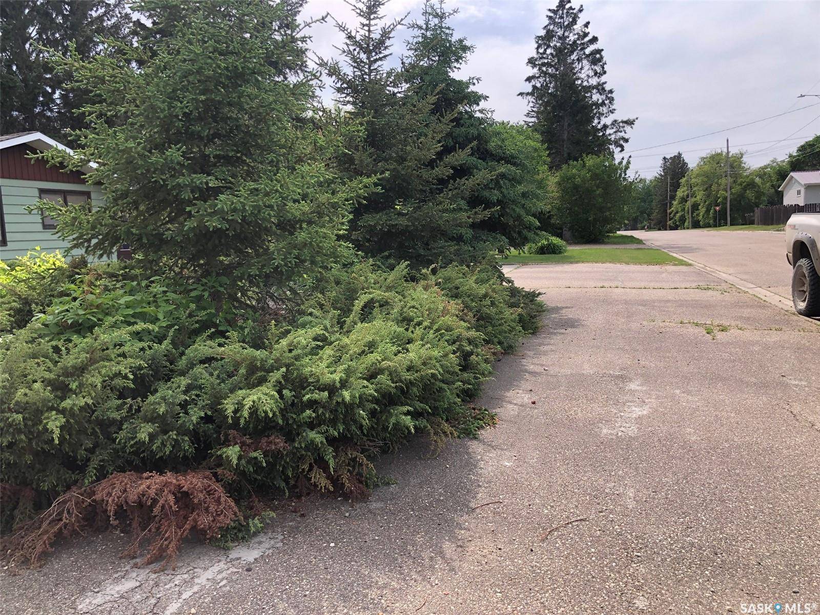 Kamsack, SK S0A 1S0,226 Saskatchewan STREET E