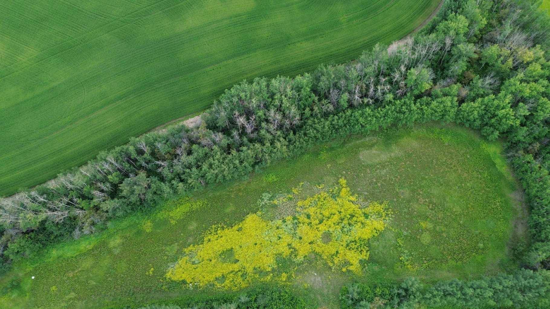 Rural Lac Ste. Anne County, AB T0E 1Y0,Range Road 80 Township Road 572