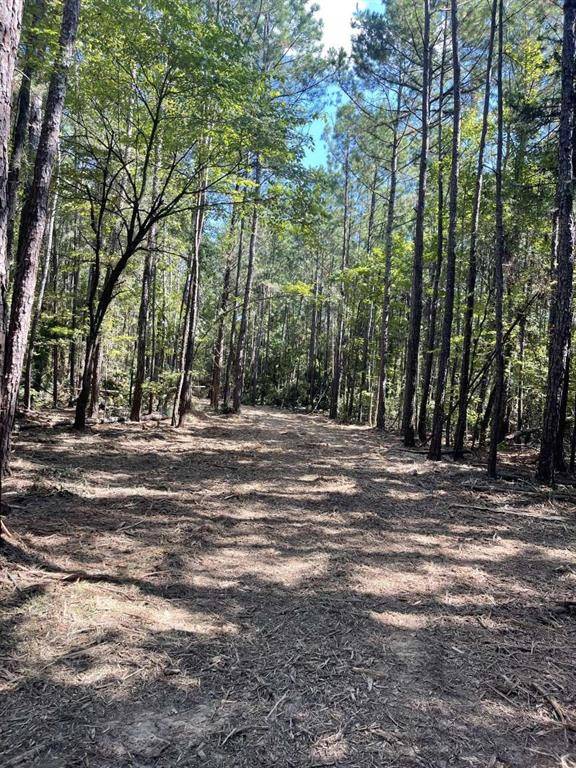 Jacksonville, TX 75766,167 CR 3141