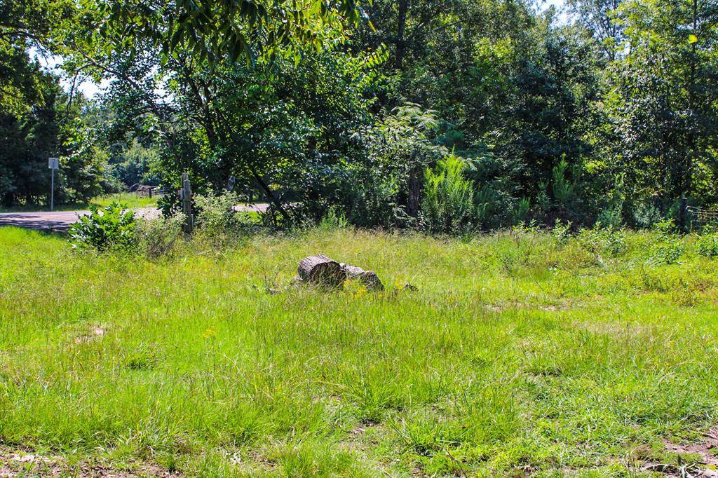 Avery, TX 75554,6773 FM 1699