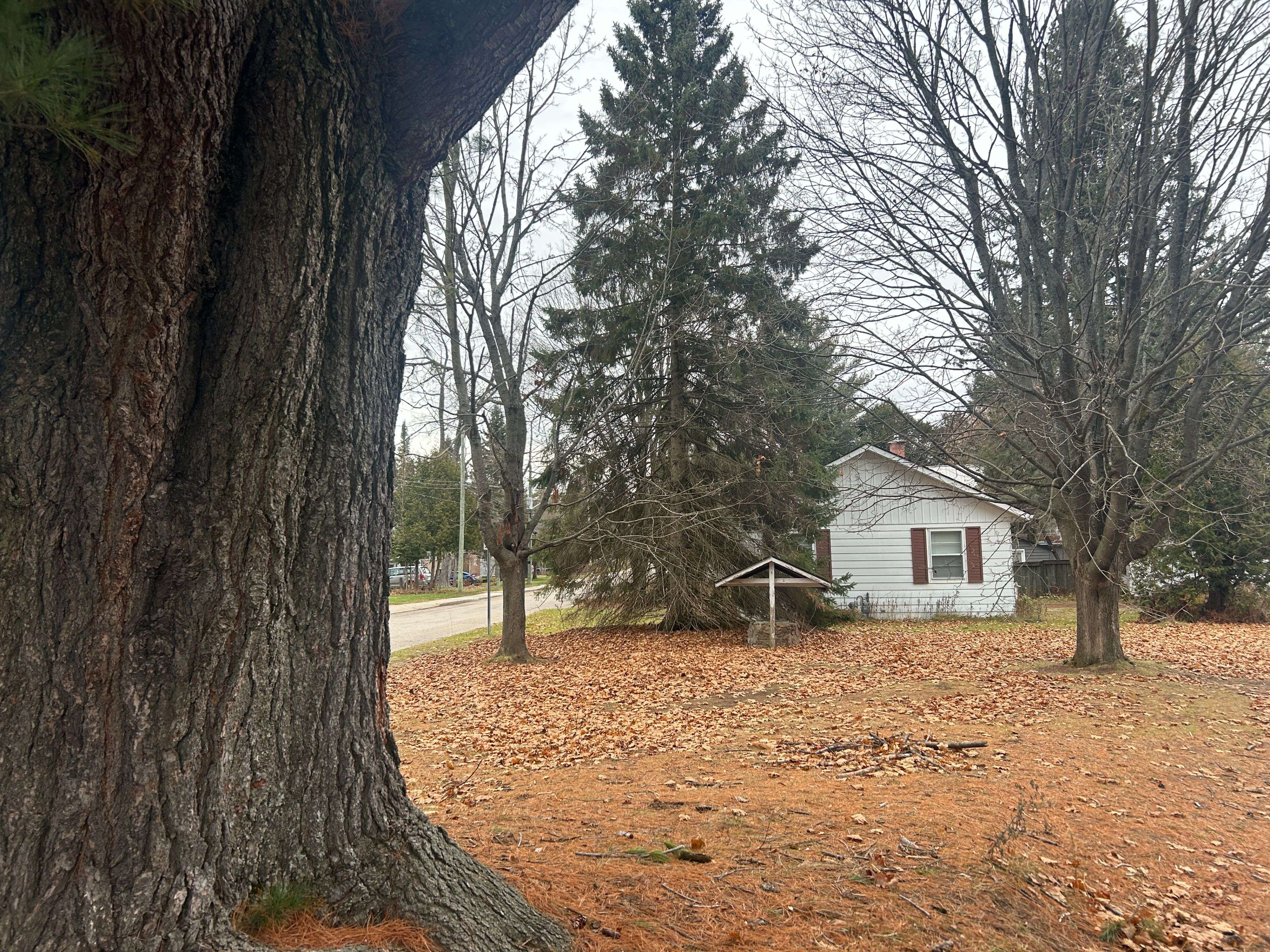 Bracebridge, ON P1L 1J6,66 Front ST