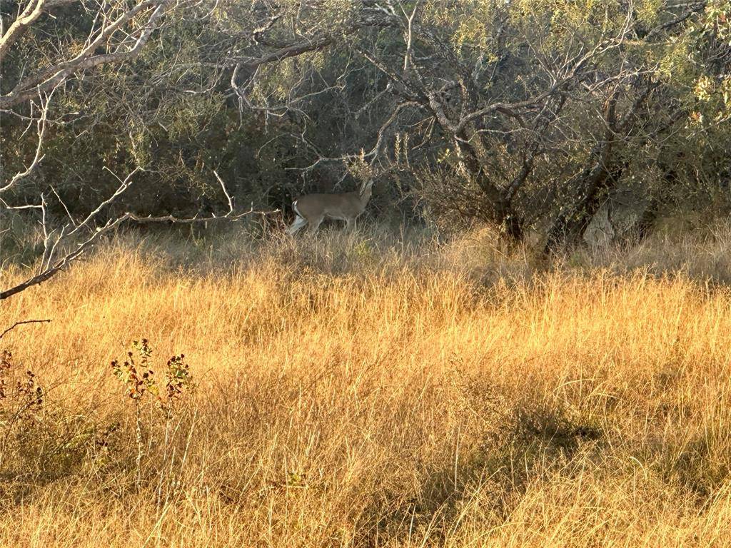 Gordon, TX 76453,2112-C County Road 126