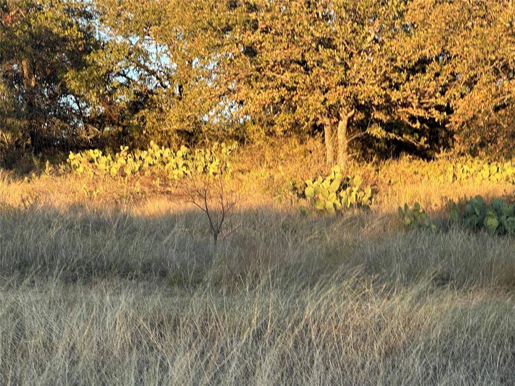 Gordon, TX 76453,2112-C County Road 126