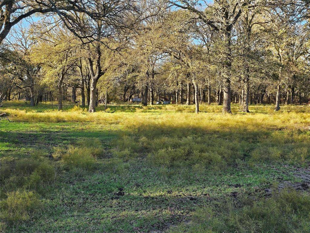 Mart, TX 76664,1447 Red Gate Road