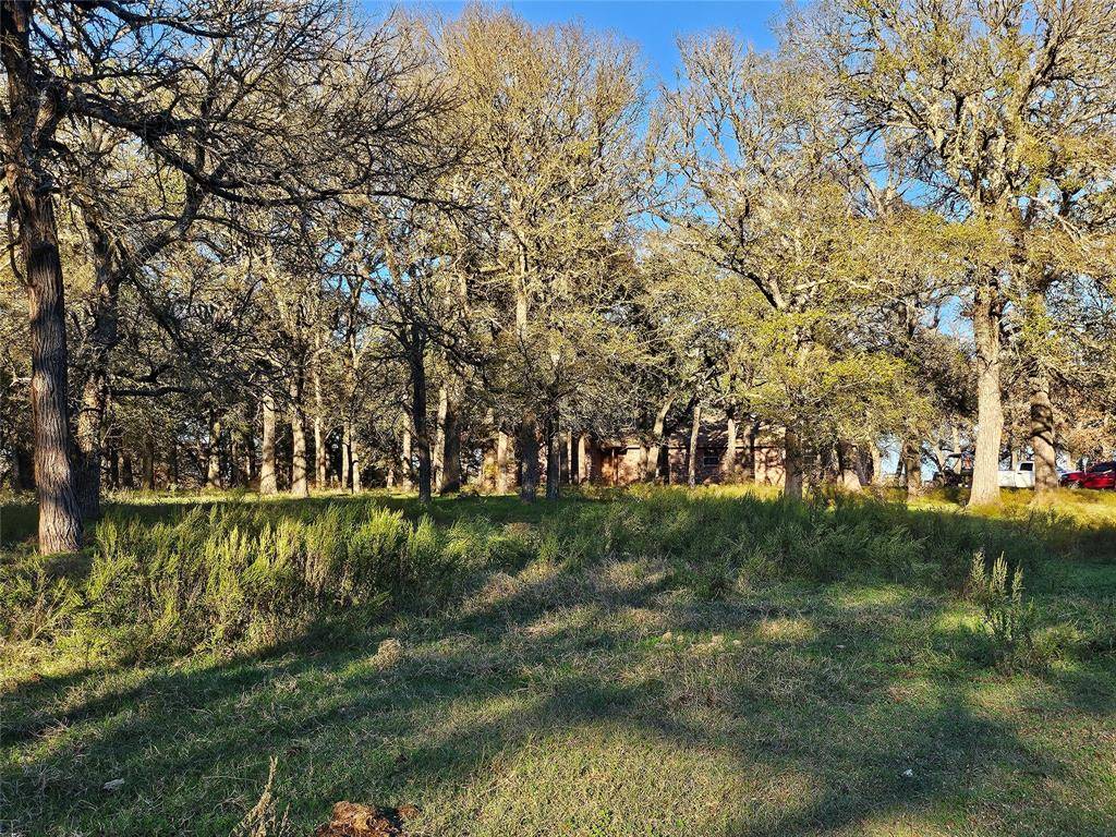 Mart, TX 76664,1447 Red Gate Road