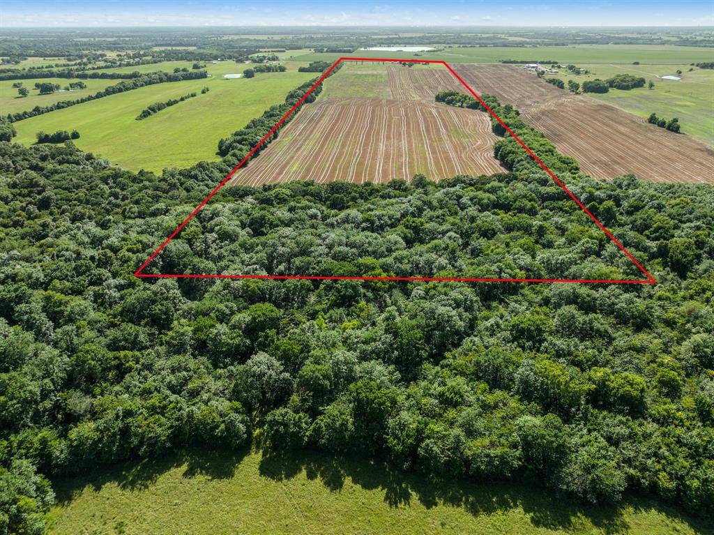 Blossom, TX 75416,000 S Farm Road 196