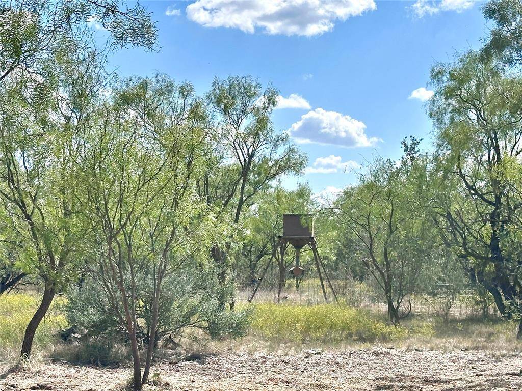 Abilene, TX 79601,TBD TBD Cnty Road 100