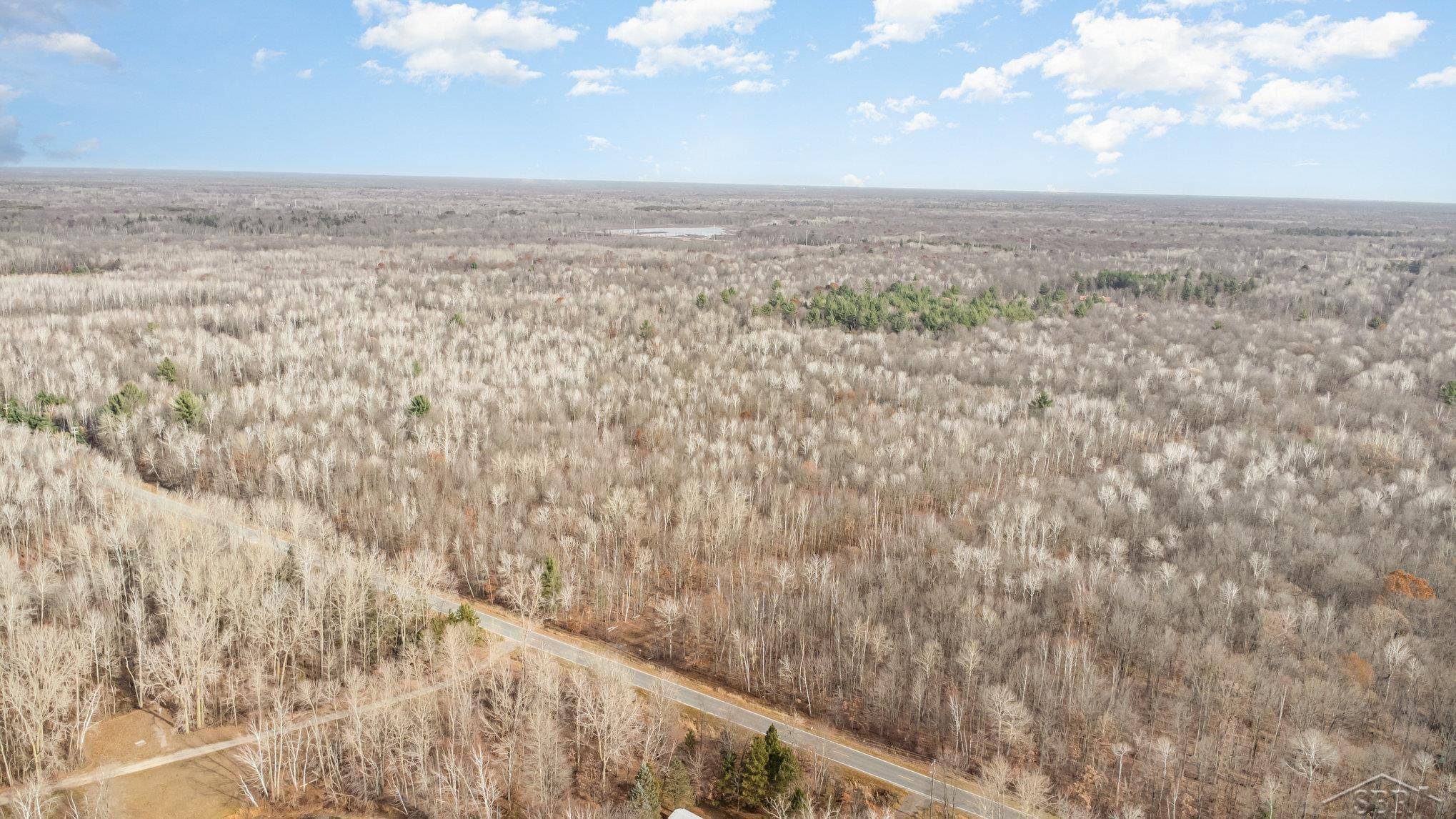 Shepherd, MI 48883,S County Line RD