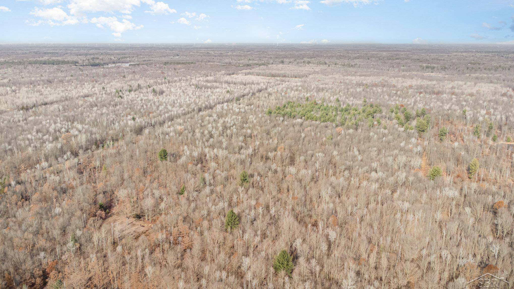 Shepherd, MI 48883,S County Line RD