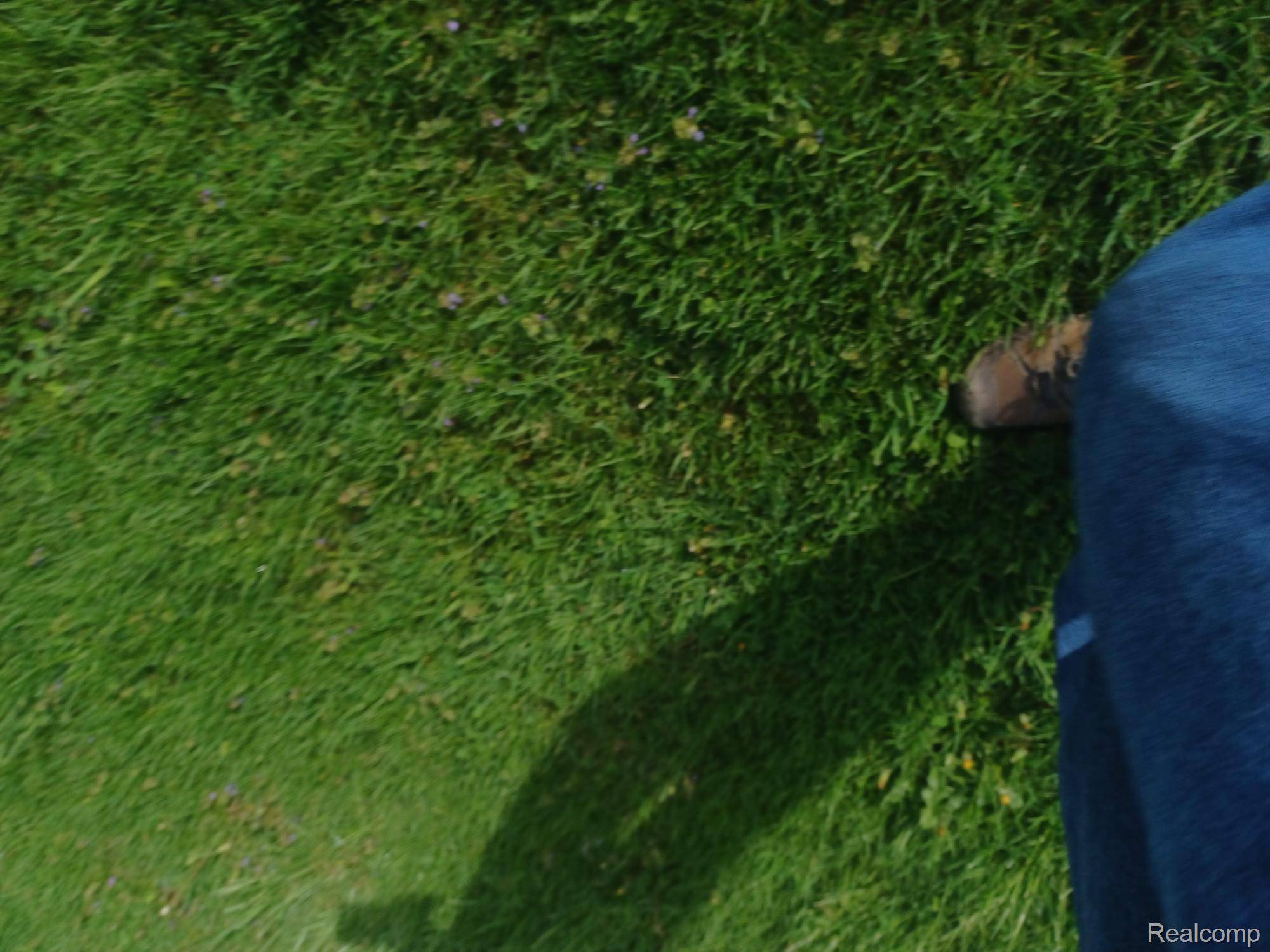 Rockwood, MI 48173,32338 CHURCH ST