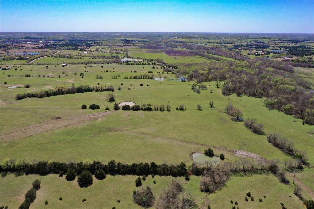 Blue Ridge, TX 75424,TBD 36 County Road 670