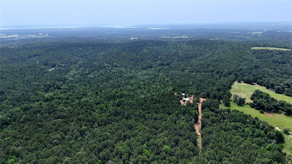 Brownsboro, TX 75756,16650 CR 3419