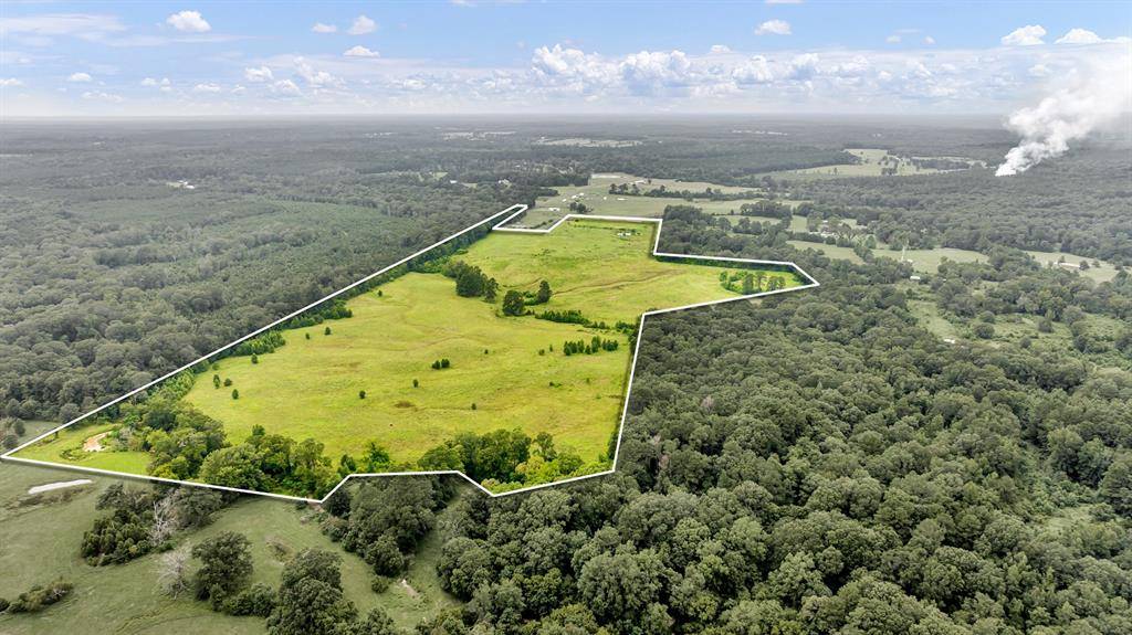 No City, TX 75974,TBD County Road 435