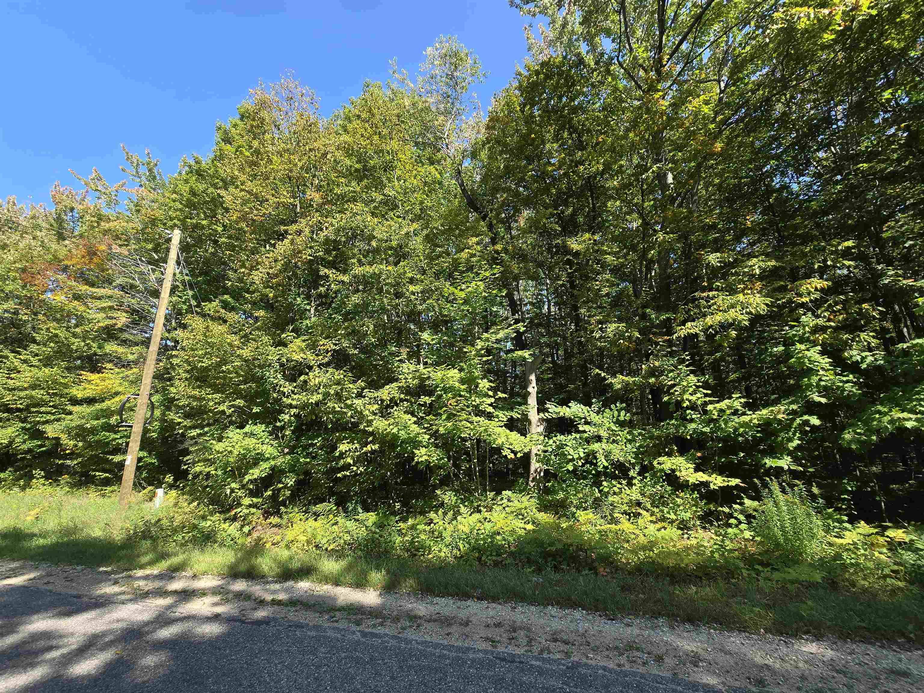 Mancelona, MI 49659,636 Montrose DR