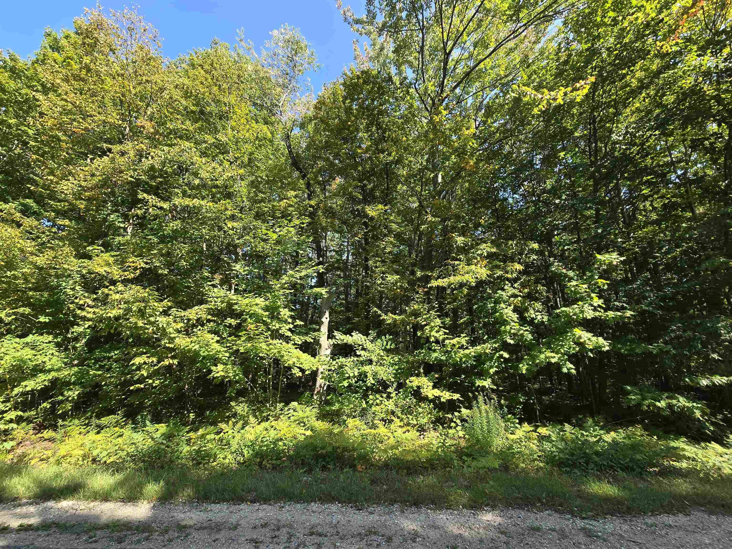 Mancelona, MI 49659,636 Montrose DR