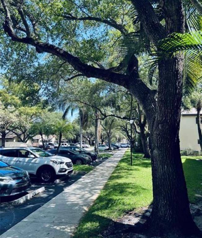 Coconut Creek, FL 33066,4529 Carambola Cir #4529