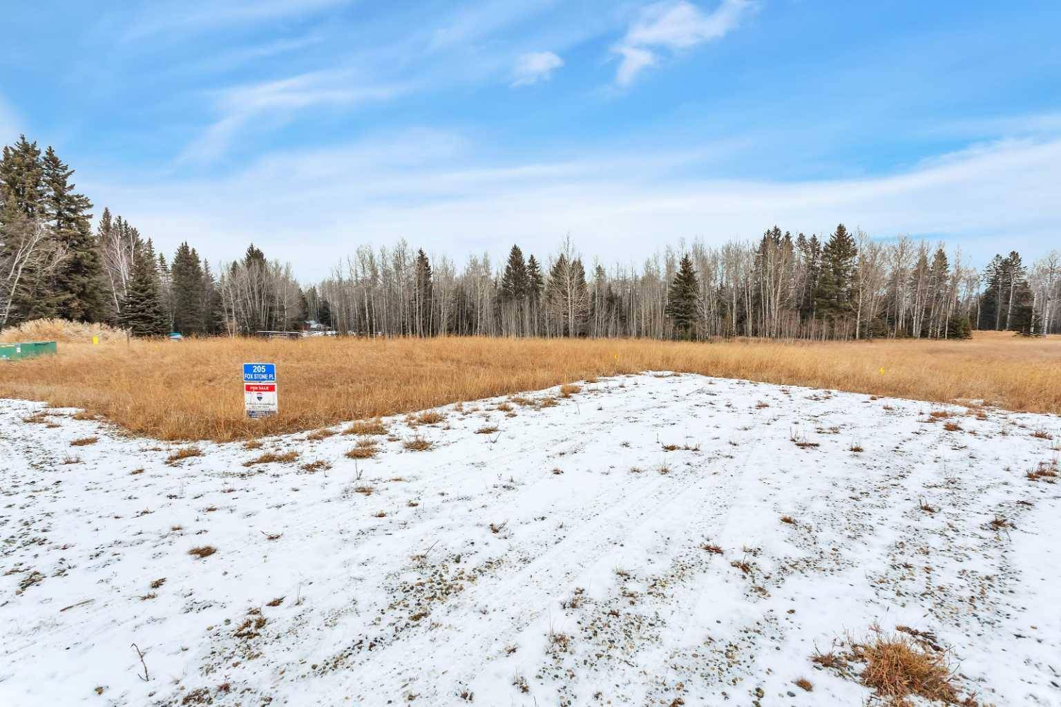 Rural Clearwater County, AB T4T 2A4,205 FOX STONE PL