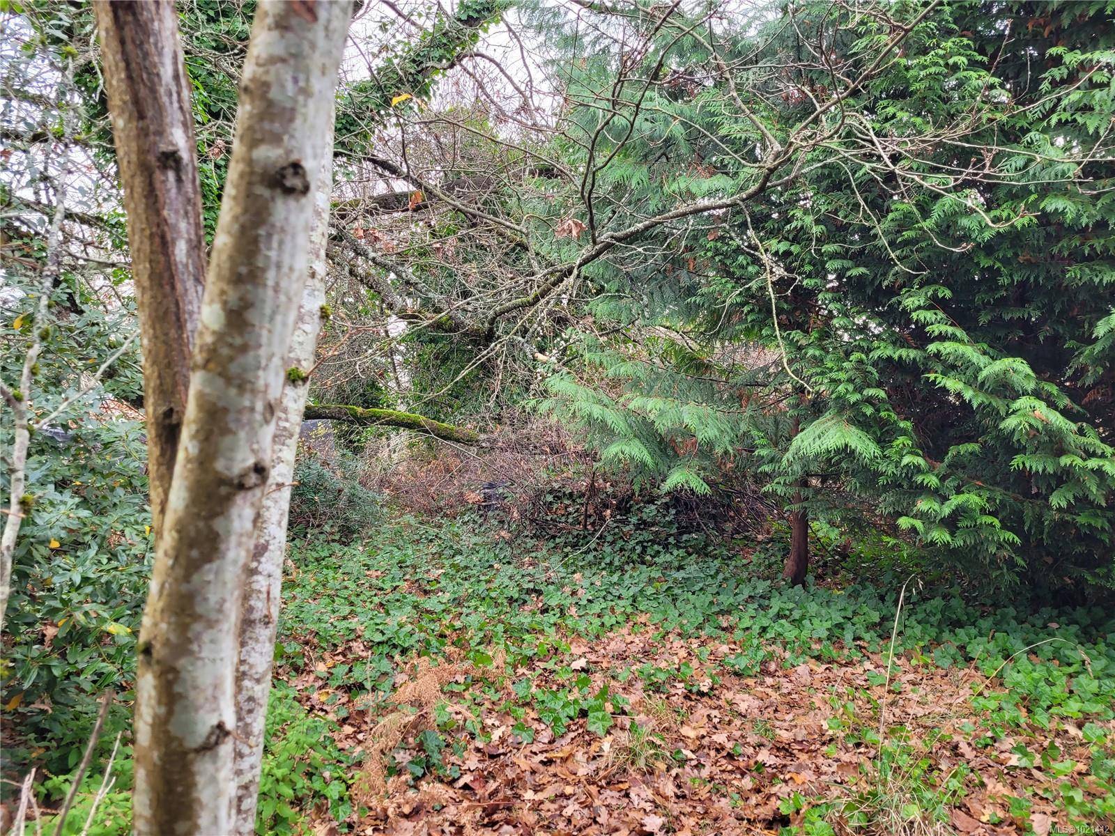 Nanaimo, BC V9S 1A9,550 Pythian Lane