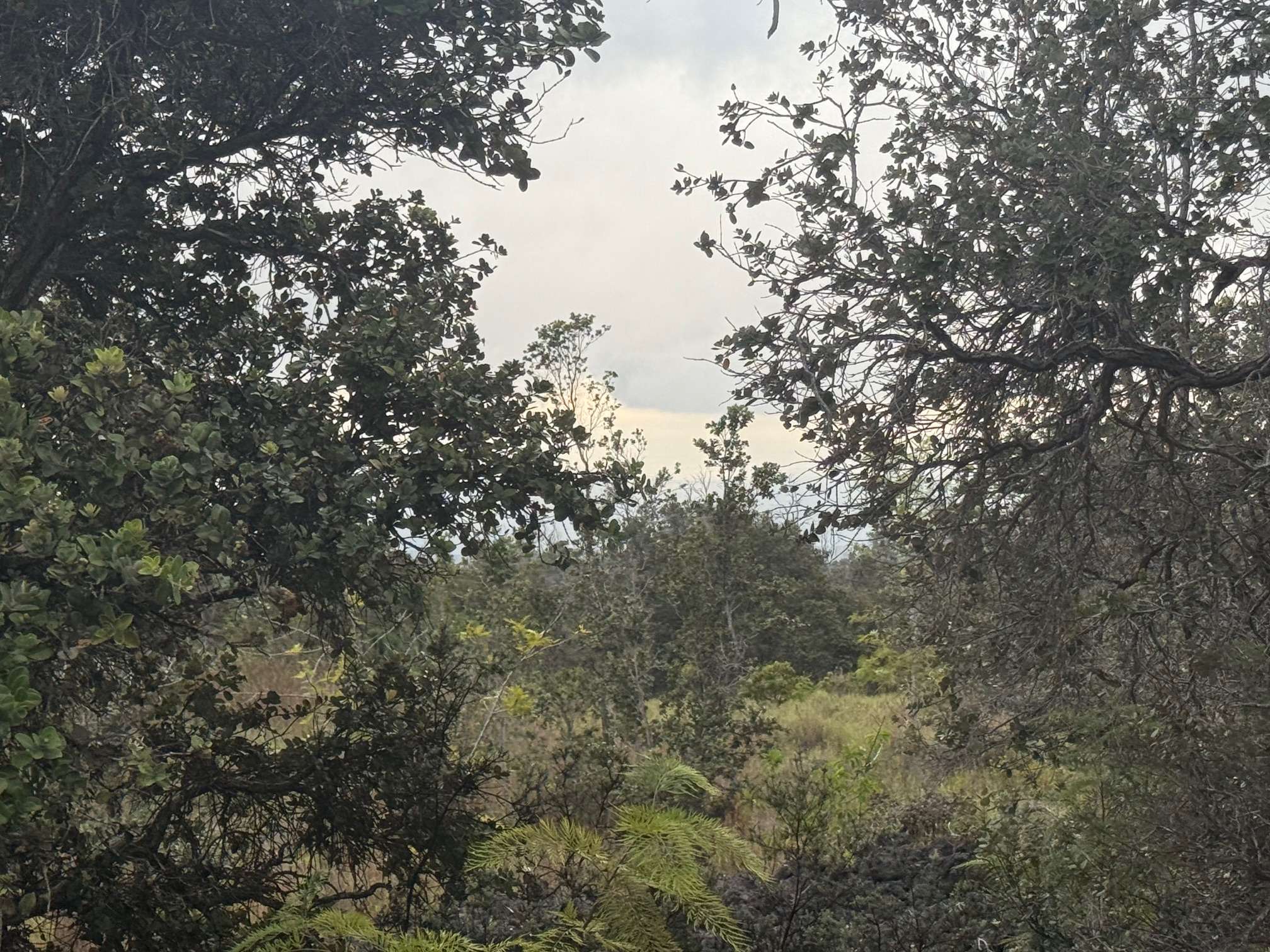 Ocean View, HI 96737,92-9037 LEILANI PKWY