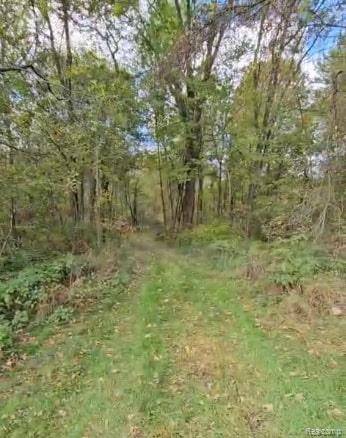 Webberville, MI 48892,37 Risch RD