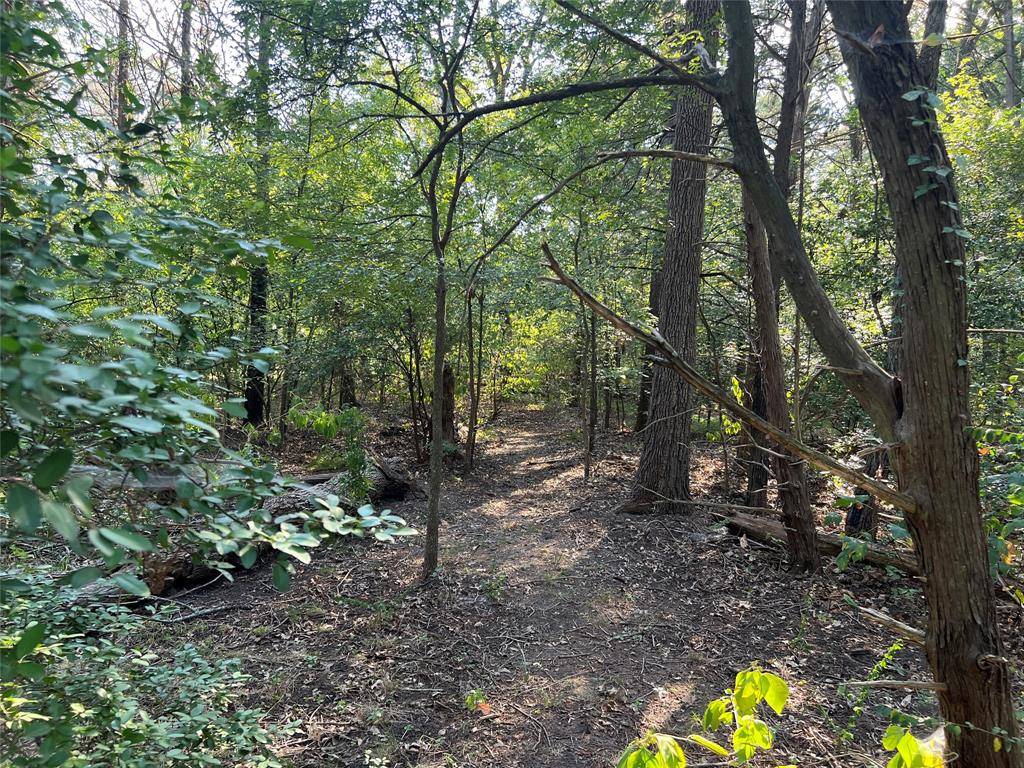 Terrell, TX 75161,16333 Co Rd 339