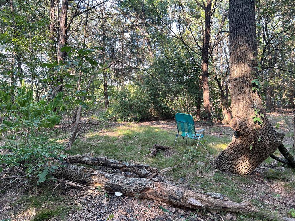 Terrell, TX 75161,16333 Co Rd 339