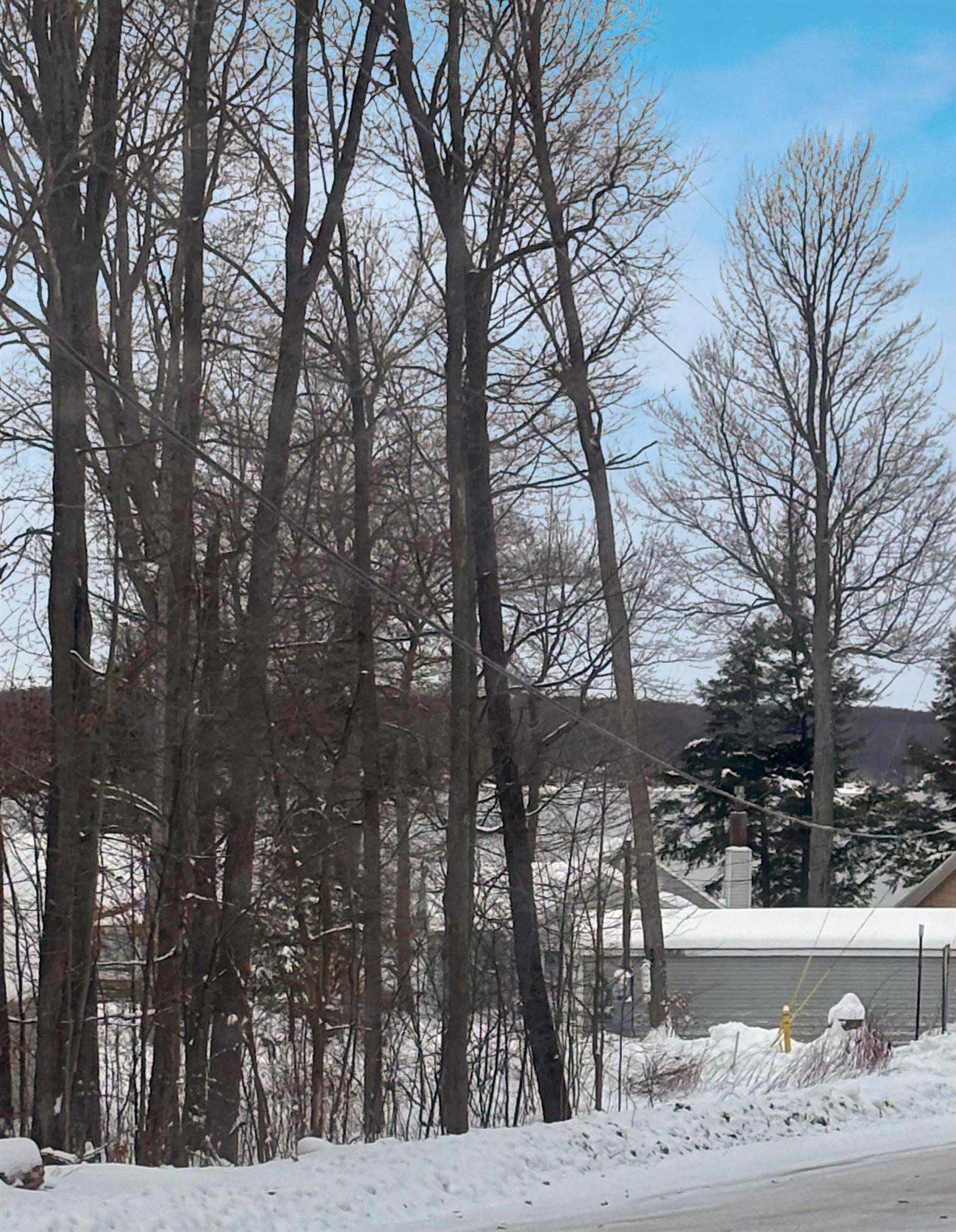 Kalkaska, MI 49646,Lot 5 Manistee Ridge Drive NE