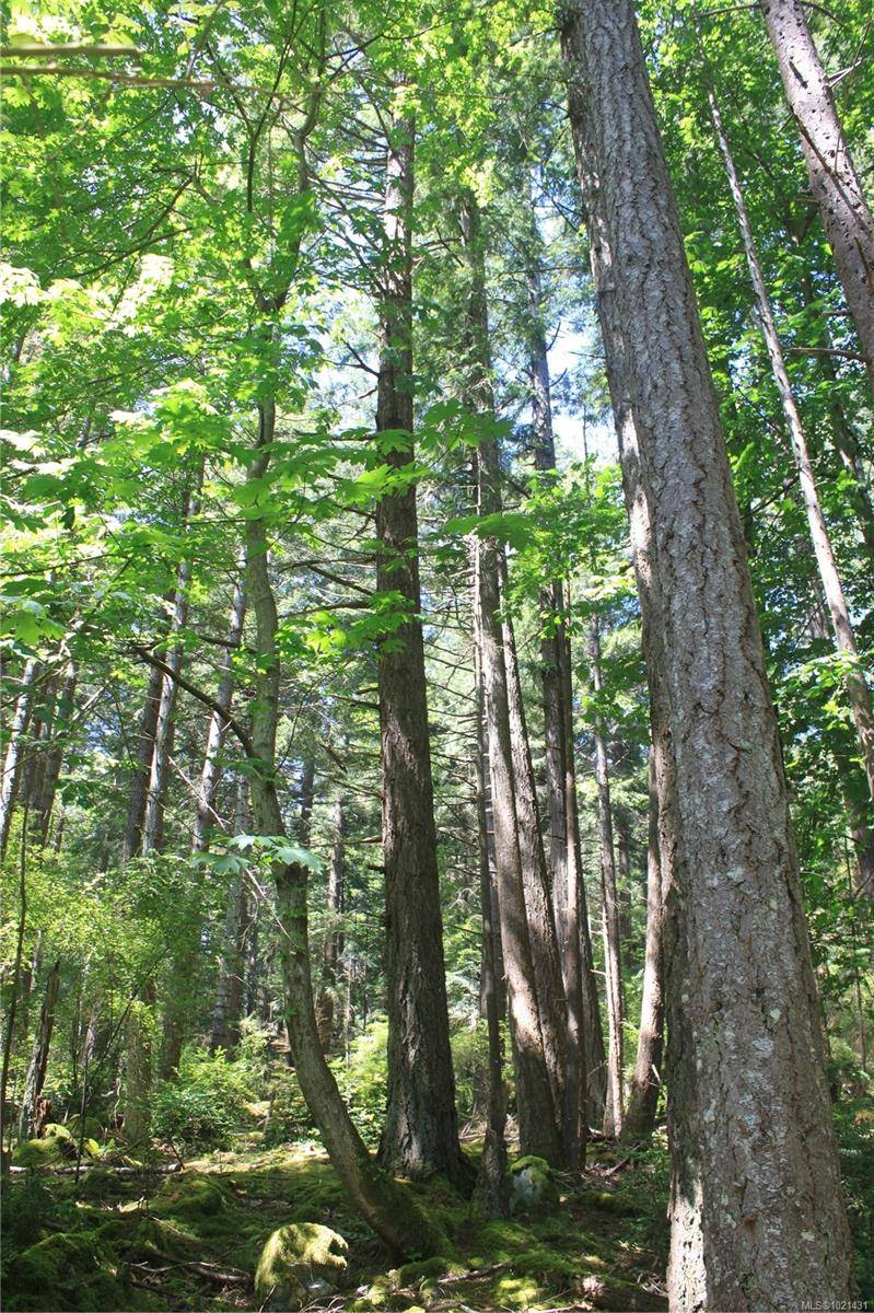 Lasqueti Island, BC V0R 2J0,1 Lennie Rd