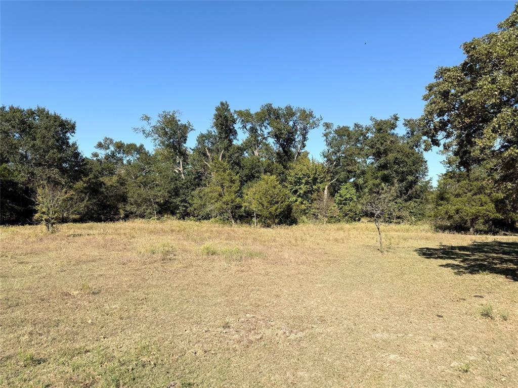 Teague, TX 75860,TBD FCR 601