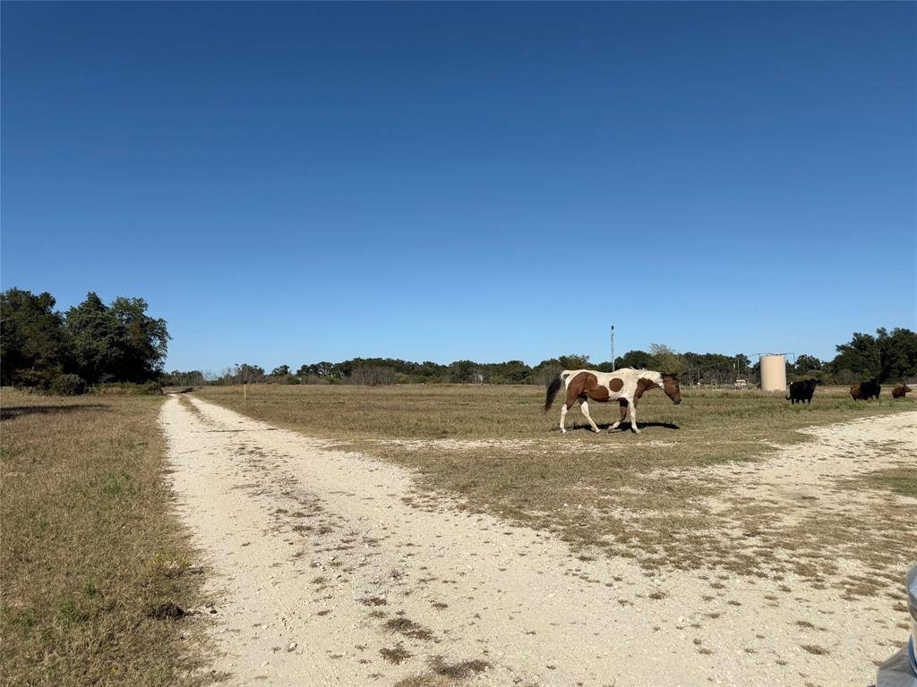 Teague, TX 75860,TBD FCR 601