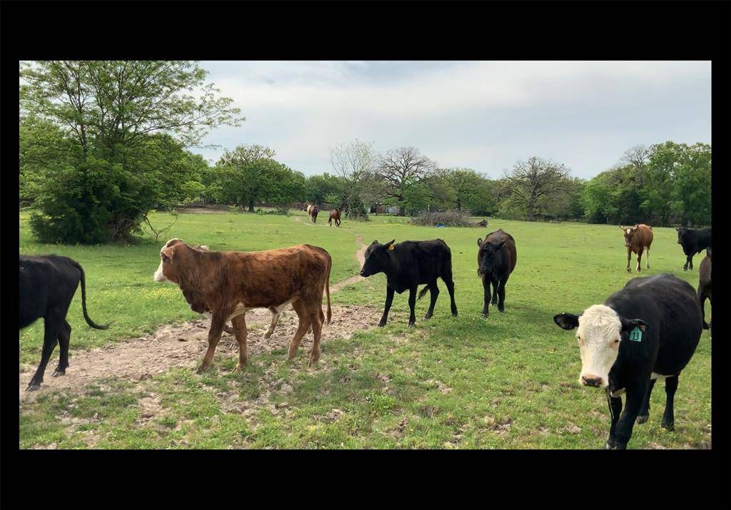 West Tawakoni, TX 75474,1200 E Rabbit Cove Road