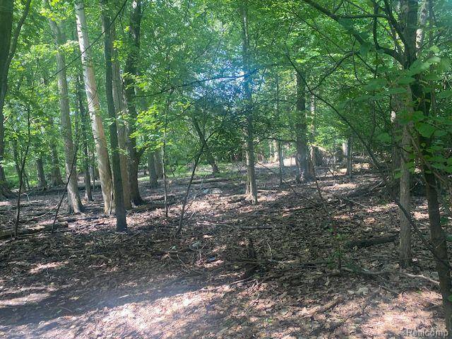 Bloomfield Hills, MI 48304,4.8 Acres Westview RD