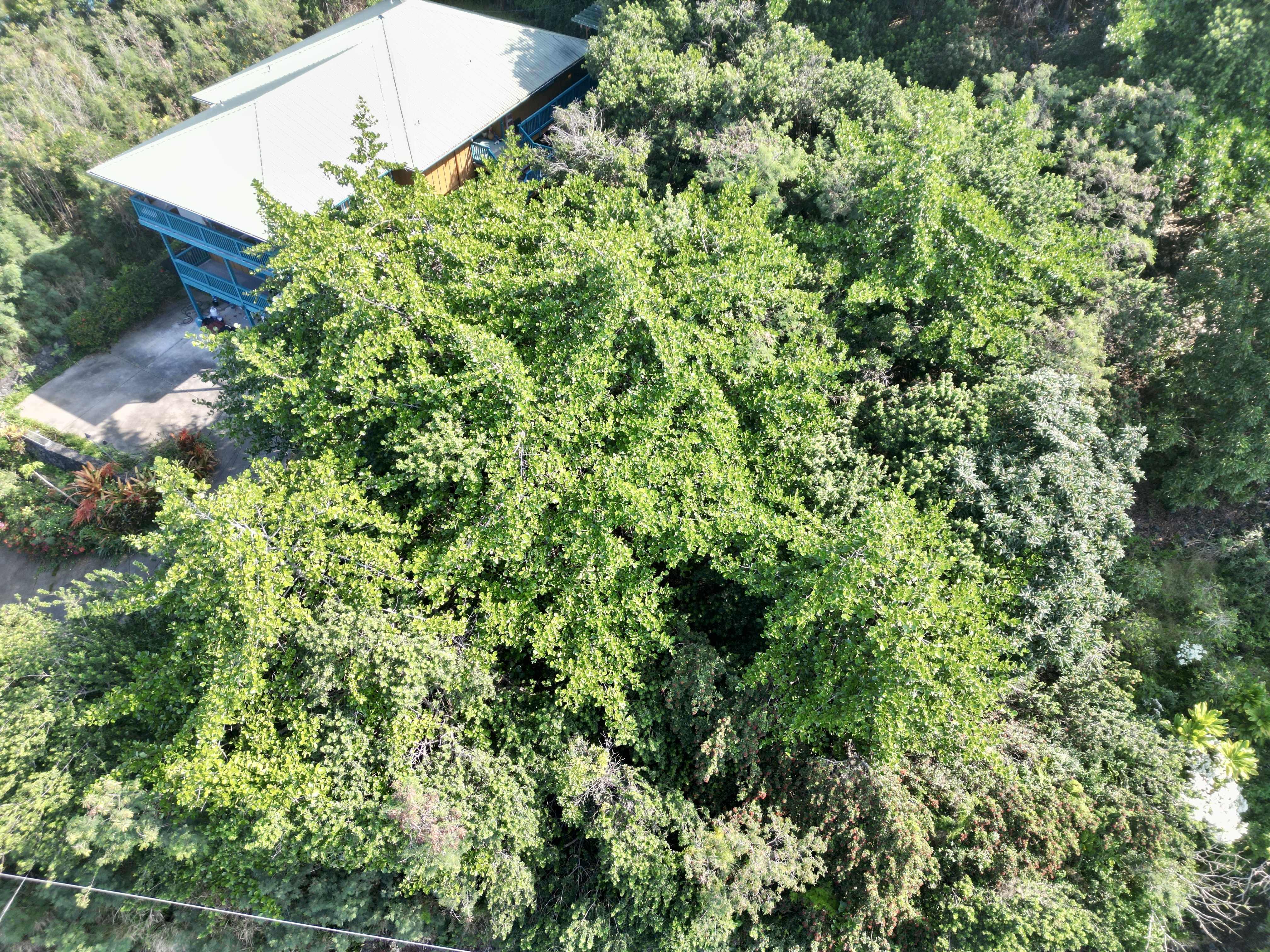 Captain Cook, HI 96704,KAOHE RD #Lot 12