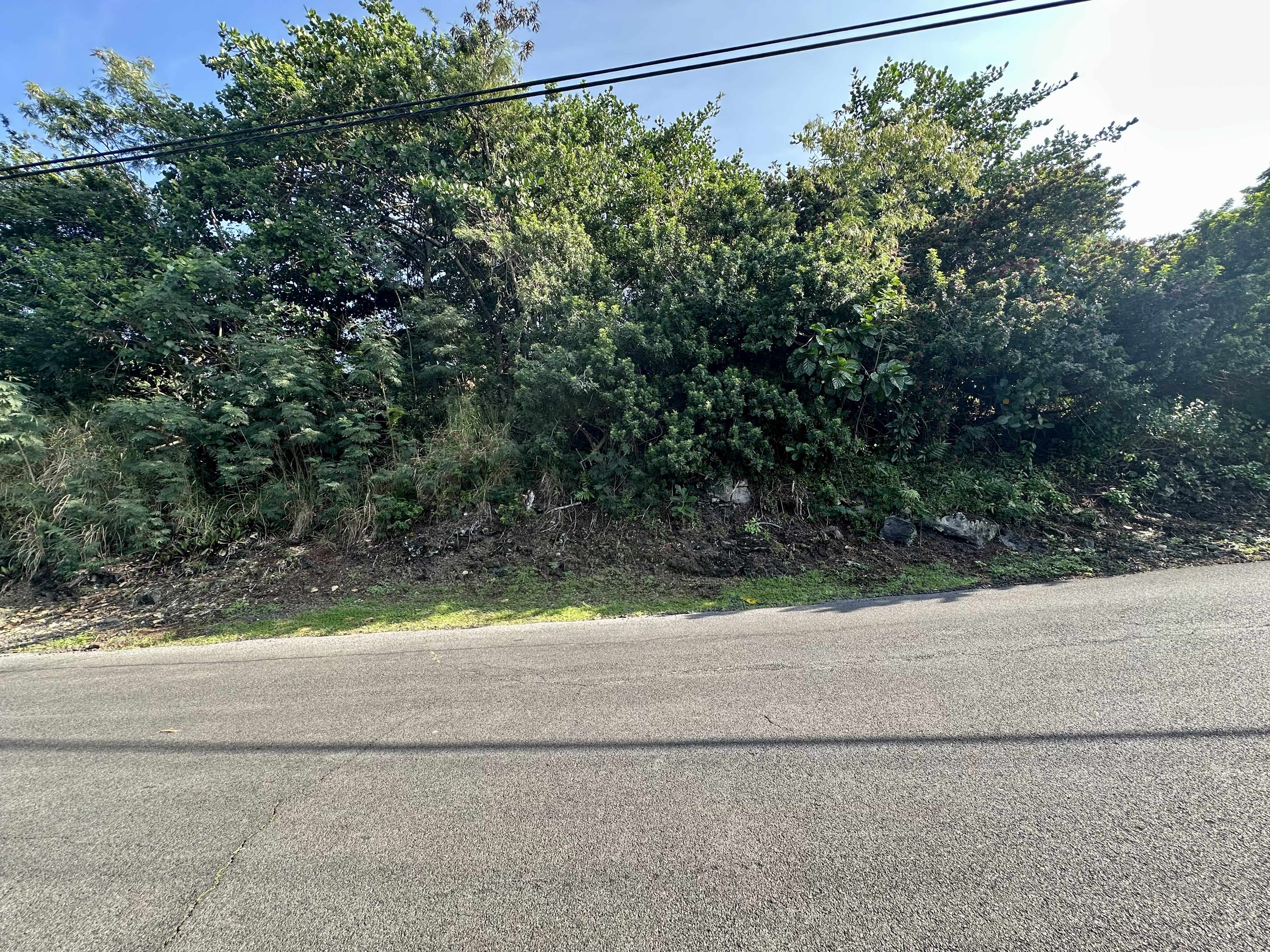 Captain Cook, HI 96704,KAOHE RD #Lot 12